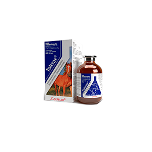 Difrax Tetine Natural Small 671 - Pazzox, pharmacie en ligne
